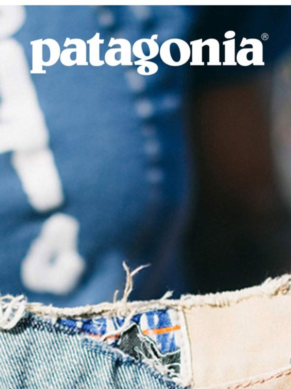 Patagonia 25% off promo code